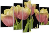 Glasschilderij Tulpen - Roze, Zwart, Wit - 170x100cm 5Luik - Foto Op Glas - Geen Acrylglas Schilderij - 6000+ Glasschilderijen Collectie - Wanddecoratie