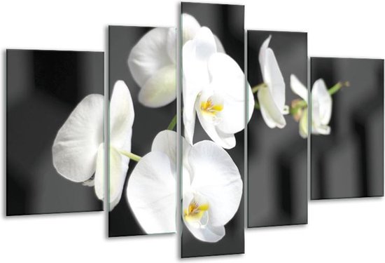 Glasschilderij Orchidee - Zwart, Wit, Grijs - 170x100cm 5Luik - Foto Op Glas - Geen Acrylglas Schilderij - 6000+ Glasschilderijen Collectie - Wanddecoratie