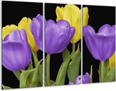 Glasschilderij Tulpen - Paars, Geel, Groen - 120x80cm 3Luik - Foto Op Glas - Geen Acrylglas Schilderij - GroepArt 6000+ Glas Art Collectie - Maatwerk Mogelijk