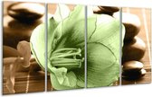 Peinture sur verre d'orchidée | Vert, marron | 160x80cm 4 Liège | Tirage photo sur verre |  F004566