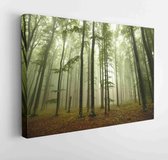Onlinecanvas - Schilderij - Foggy Forest Art Horizontal Horizontal - Multicolor - 75 X 115 Cm
