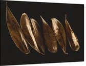 Gouden bladeren - Foto op Canvas - 90 x 60 cm