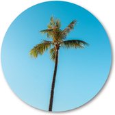 Low angle van een hoge palmboom onder een heldere hemel - Muurcirkel 40cm - Wandcirkel voor buiten - Aluminium Dibond - Minimalist - Landschap - Natuur