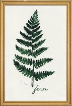 JUNIQE - Poster met houten lijst Fern -13x18 /Groen & Ivoor