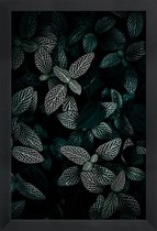 JUNIQE - Poster in houten lijst Dark Leaves 3 -20x30 /Groen & Zwart