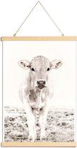 JUNIQE - Posterhanger Blonde Cattle Maverick -20x30 /Ivoor