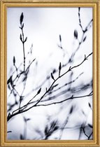 JUNIQE - Poster met houten lijst Winter Branches 2 -30x45 /Wit & Zwart