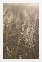 JUNIQE - Poster in houten lijst Good Morning -20x30 /Bruin