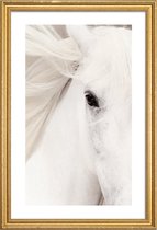 JUNIQE - Poster met houten lijst White Horse -30x45 /Grijs & Wit