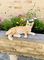 Tuinbeeld Kat - Woondecoratie Poes - Amerikaanse Korthaar Roodharig - voor Binnen en Buiten - 20 cm - Polyester - Polystone - Beeld - Tuinbeeld - Hoogkwalitatieve Kunststof - Decor