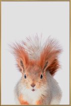 JUNIQE - Poster met kunststof lijst Red Squirrel -13x18 /Grijs &