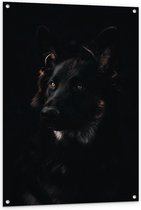 Tuinposter – Hond - 80x120cm Foto op Tuinposter  (wanddecoratie voor buiten en binnen)