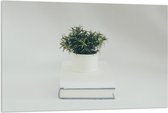 Acrylglas - Plant op een Boek - 120x80cm Foto op Acrylglas (Wanddecoratie op Acrylglas)