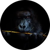 Gorilla met bamboe op zwarte achtergrond - Foto op Behangcirkel - ⌀ 80 cm
