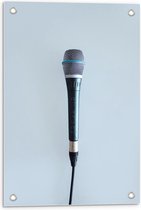 Tuinposter – Microfoon aan Draad - 40x60cm Foto op Tuinposter  (wanddecoratie voor buiten en binnen)