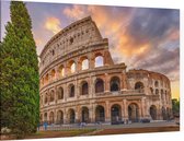 Flavisch Amfitheater bekend als Colosseum in Rome - Foto op Canvas - 60 x 40 cm
