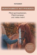 Bodenarbeit Pferd