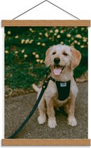 Schoolplaat – Schattige Hond aan Lijn - 30x40cm Foto op Textielposter (Wanddecoratie op Schoolplaat)