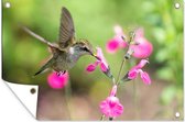 Tuinposter - Tuindoek - Tuinposters buiten - Robijnkeelkolibrie zweeft naast een wilde roze bloem - 120x80 cm - Tuin