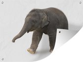 Muurdecoratie buiten Kleine olifant tegen witte achtergrond - 160x120 cm - Tuindoek - Buitenposter