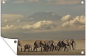 Muurdecoratie Afrikaanse olifanten op de savanne - 180x120 cm - Tuinposter - Tuindoek - Buitenposter