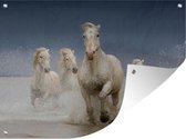 Tuinschilderij Paarden - Water - Frankrijk - 80x60 cm - Tuinposter - Tuindoek - Buitenposter