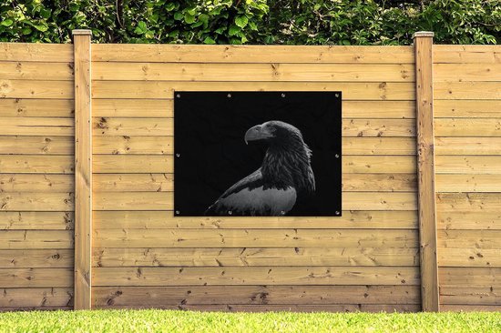 Affiche jardin - Toile jardin - Posters de jardin extérieur - Aigle - Gros plan - Bec - 120x90 cm - Jardin