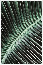JUNIQE - Poster in kunststof lijst Curved Palm -40x60 /Groen
