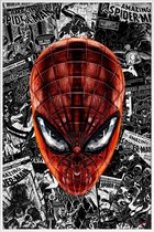 JUNIQE - Poster met kunststof lijst The Spider-Man - Een stripheld