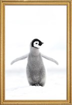 JUNIQE - Poster met houten lijst Lone Penguin -13x18 /Grijs & Wit