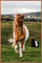 JUNIQE - Poster met kunststof lijst Shetland Ponies -40x60 /Bruin &