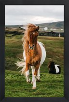 JUNIQE - Poster in houten lijst Shetland Pony's -30x45 /Bruin & Groen