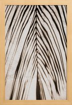 JUNIQE - Poster in houten lijst Palmschaduw -60x90 /Bruin & Ivoor