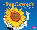 Explore Life Cycles - A Sunflower's Life Cycle