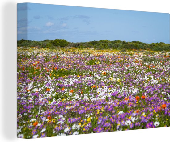 Canvas Schilderijen - Bloemenweide - Paars - Bloemen - Wanddecoratie