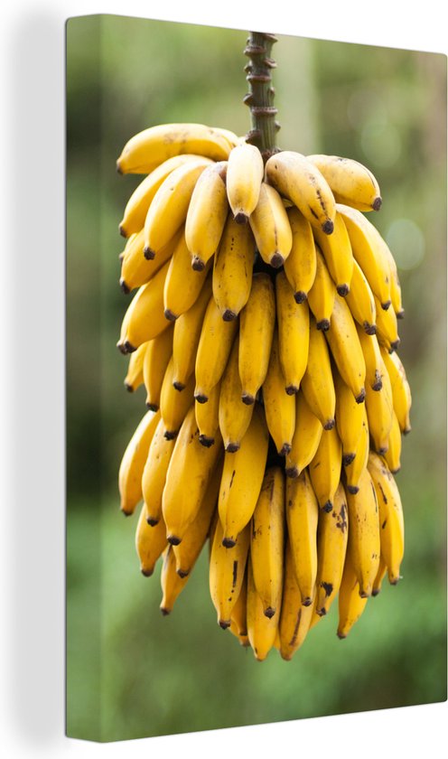Canvas Schilderij Bananen - Fruit - Tak - 40x60 cm - Wanddecoratie