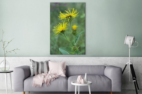 Fleur d'Alant jaune entre la haute herbe verte Toile 120x180 cm - Tirage photo sur toile (Décoration murale salon / chambre) XXL / Groot format!