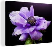 Toile anémone violette 2cm 160x120 cm - Tirage photo sur toile (Décoration murale salon / chambre) / Peintures Fleurs sur toile XXL / Groot format!