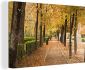 Canvas Schilderij Herfstbladeren in het Buen Retiro Park in Madrid - 60x40 cm - Wanddecoratie