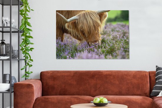 Close-up highlander écossais sent la toile de bruyère violette 2cm