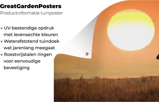 Affiche de jardin Cheval sauvage sur prairie 120x80 cm - Toile de jardin / Toile d'extérieur / Peintures pour l'extérieur (décoration de jardin)