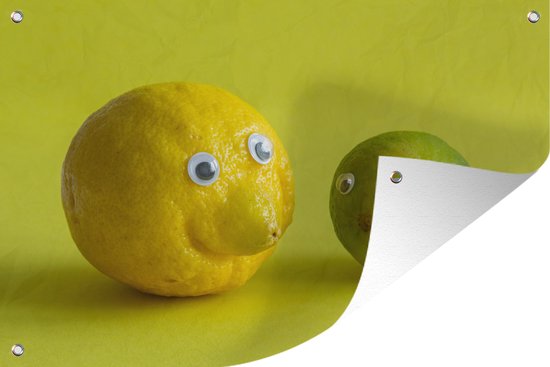 Muurdecoratie Lemon and lime with googly eyes - 180x120 cm - Tuinposter - Tuindoek - Buitenposter