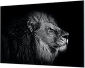 Wandpaneel Leeuwenkop in het Donker  | 180 x 120  CM | Zwart frame | Wand-beugels (27 mm)