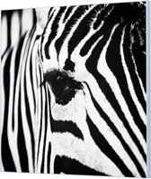 Wandpaneel Zebra close-up zwart wit  | 80 x 80  CM | Zilver frame | Akoestisch (50mm)