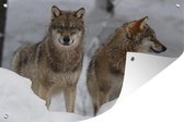 Muurdecoratie Wolf - Sneeuw - Dieren - 180x120 cm - Tuinposter - Tuindoek - Buitenposter