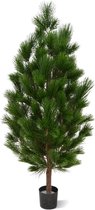 Pinus Deluxe XL 130 cm UV Proof