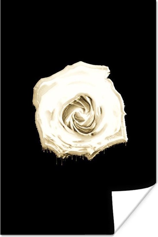 Close-up fleur blanche sur fond noir 60x90 cm / Poster Fleurs | bol.com
