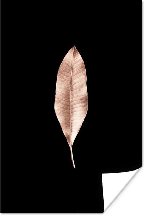 Goud-roze langwerpig blad op een zwarte achtergrond