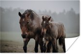Quarter paard en veulen lopen richting camera 30x20 cm - klein - Foto print op Poster (wanddecoratie woonkamer / slaapkamer)
