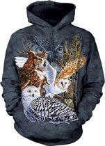 Find 11 Owls Hoodie XXL